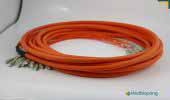 Dây nhảy quang Multicore SC SC