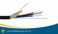 Cáp quang AMP multimode 4FO (4core)