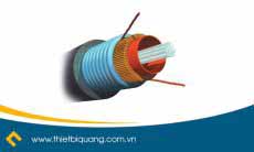 Cáp quang ourdor Multimode 62.5/125µm