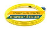 Các loại dây nhảy quang Singlemode phổ biến nhất trên thị trường