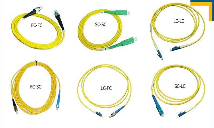 Các loại đây nhảy quang đang được sử dụng phổ biến